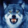 canavar sekıllerı ile ilgili görsel sonucu | Snarling wolf ...