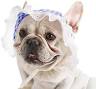 Amazon.com : Dog Hat, YAODHAOD Summer Pet Lace Baby Hat ...