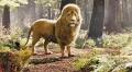 Aslan from The Chronicles of Narnia | CharacTour