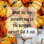 60 Pumpkin Puns And Jokes That Are Wickedly Clever