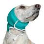 "dog ear bonnet", источник: vetmedwear.com