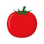 "tomato clipart outline", источник: www.istockphoto.com
