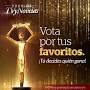 Premios TVyNovelas México