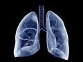 Poumons : quels minéraux sont bénéfiques pour leur santé ?