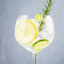 "Gin Tanqueray receita", источник: receitas.globo.com
