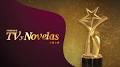 Las mejores novelas nominadas a los Premios TVyNovelas 2020 ...
