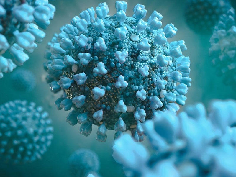 Alimler koronavirusun insan beynine nece daxil oldugunu oyrenibler