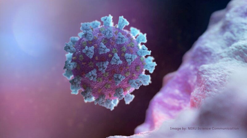 Koronavirusla bagli narahatliq doguran ACİQLAMA: Movsumi infeksiya