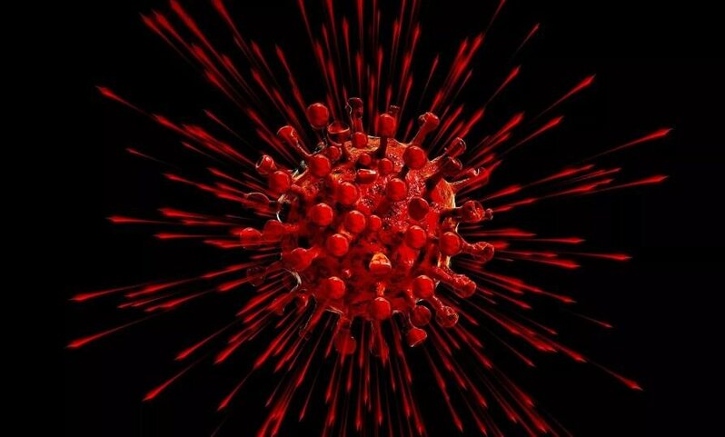 Koronavirusun YENİ ve EN TEHLUKELİ ShTAMİ barede XEBERDARLİQ EDİLDİ