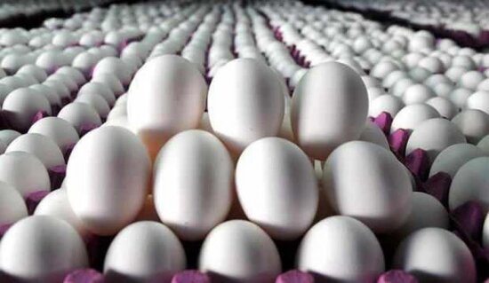 Azerbaycanda yumurta yene bahalashacaq? – ARAShDİRMA