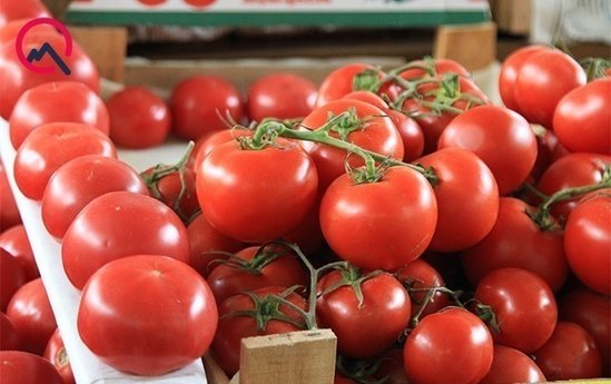 Azerbaycanda pomidor qefil ucuzlashdi – Sebeb bilindi (Video)